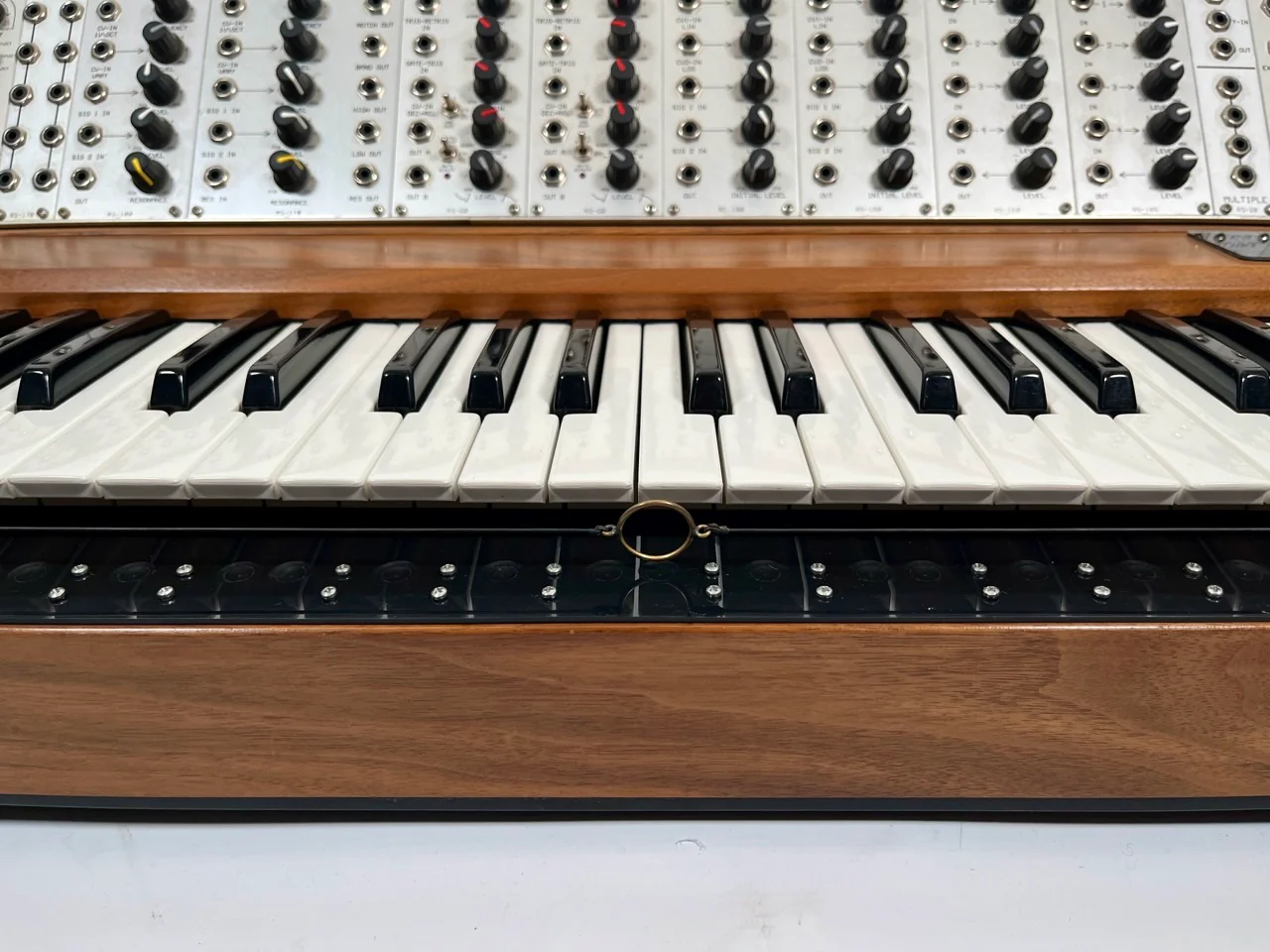 Analogue Systems French Connection & RS-15 Integrator Modular Synth - Image 8