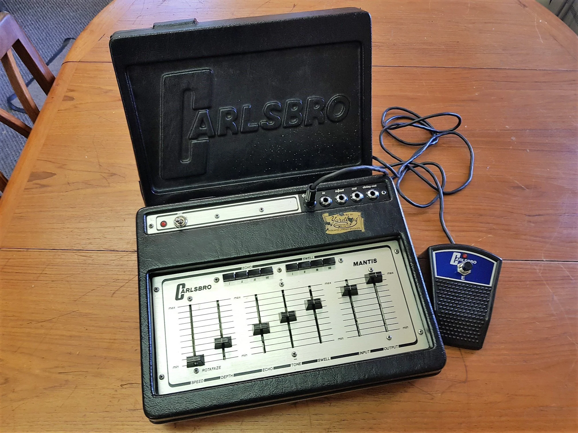 Carlsbro Mantis + Footswitch & Cover