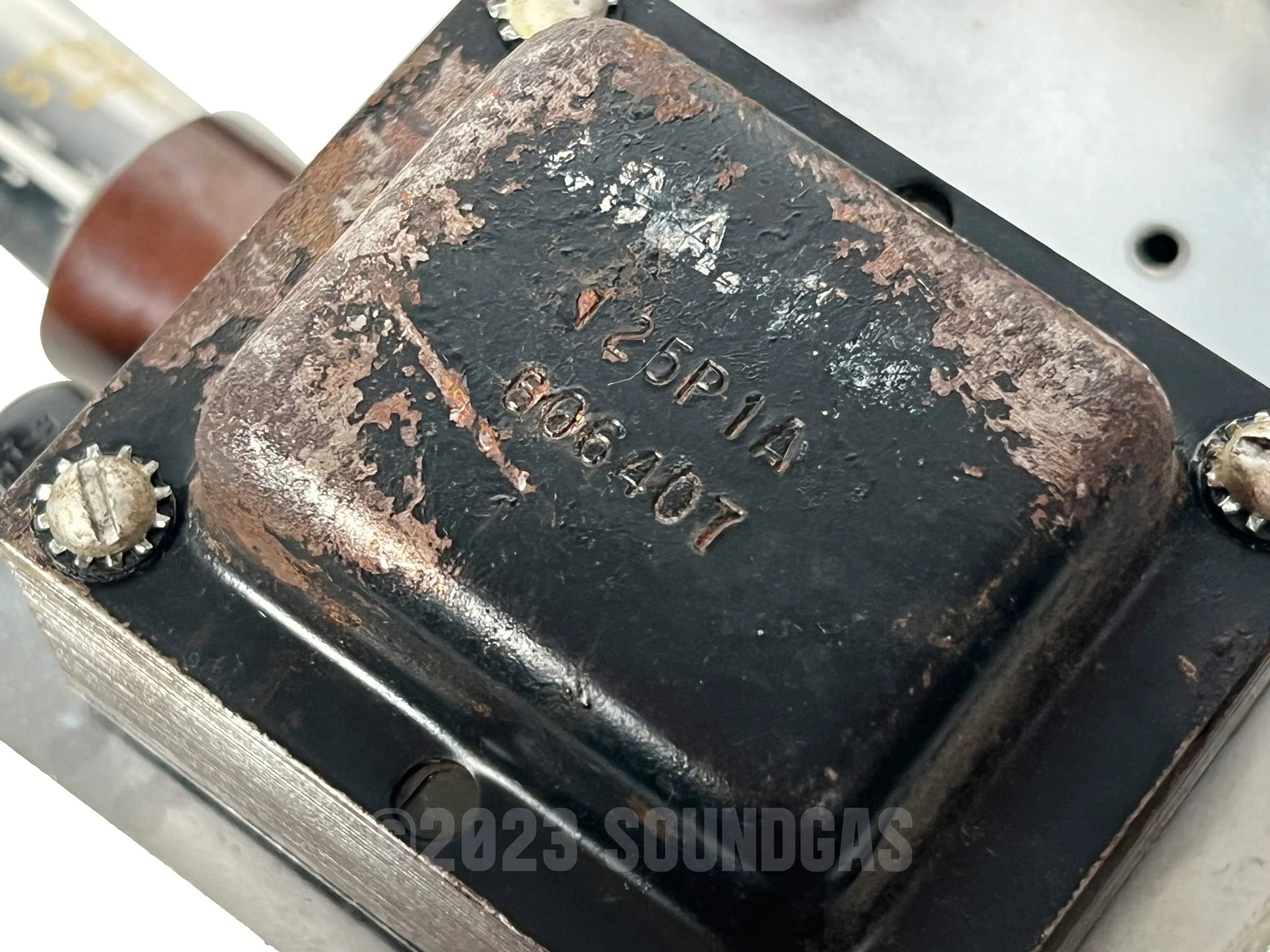 Fender Champ 5F1 1961 Tweed - Image 12