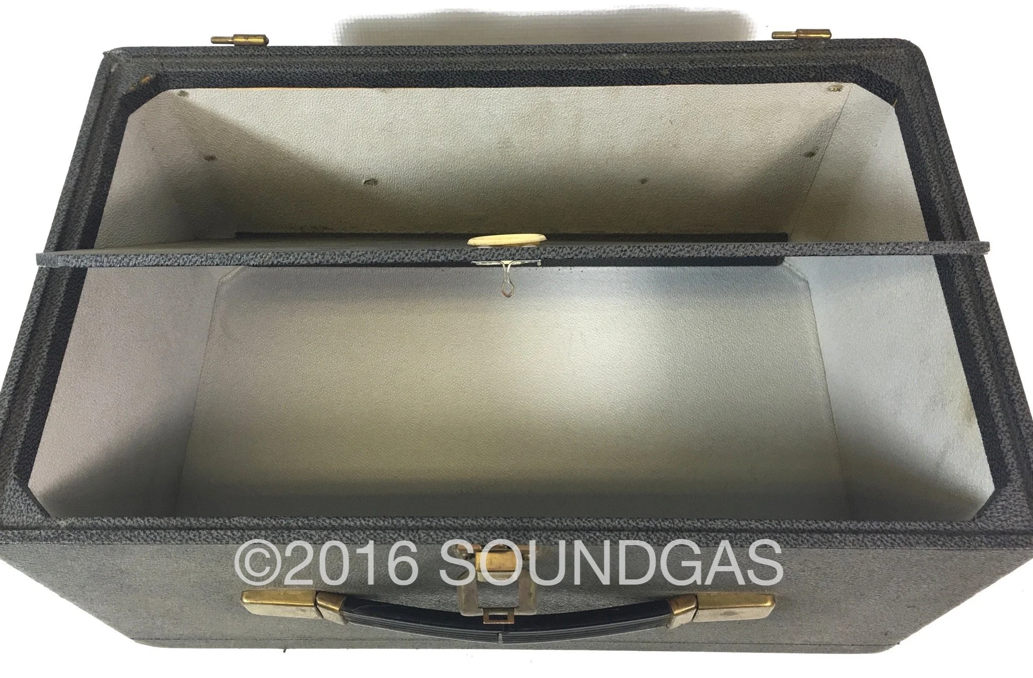 Guild Echorec 2 T6FA by Binson - Image 20