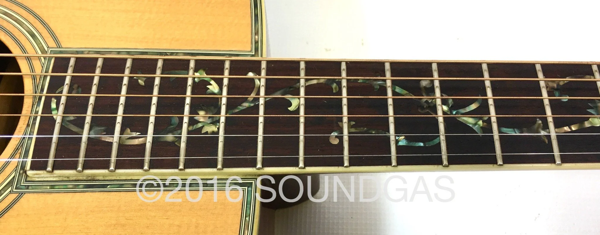 Morris W65M 'Tree Of Life' Acoustic Guitar - Image 11