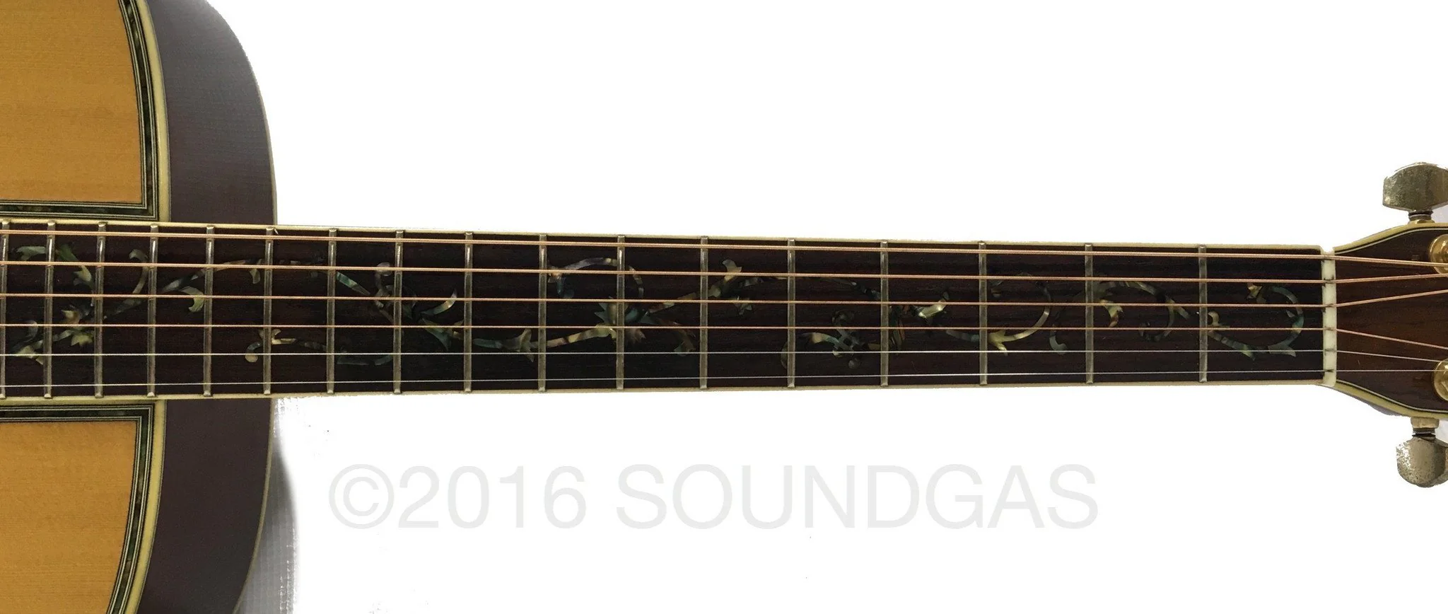 Morris W65M 'Tree Of Life' Acoustic Guitar - Image 4