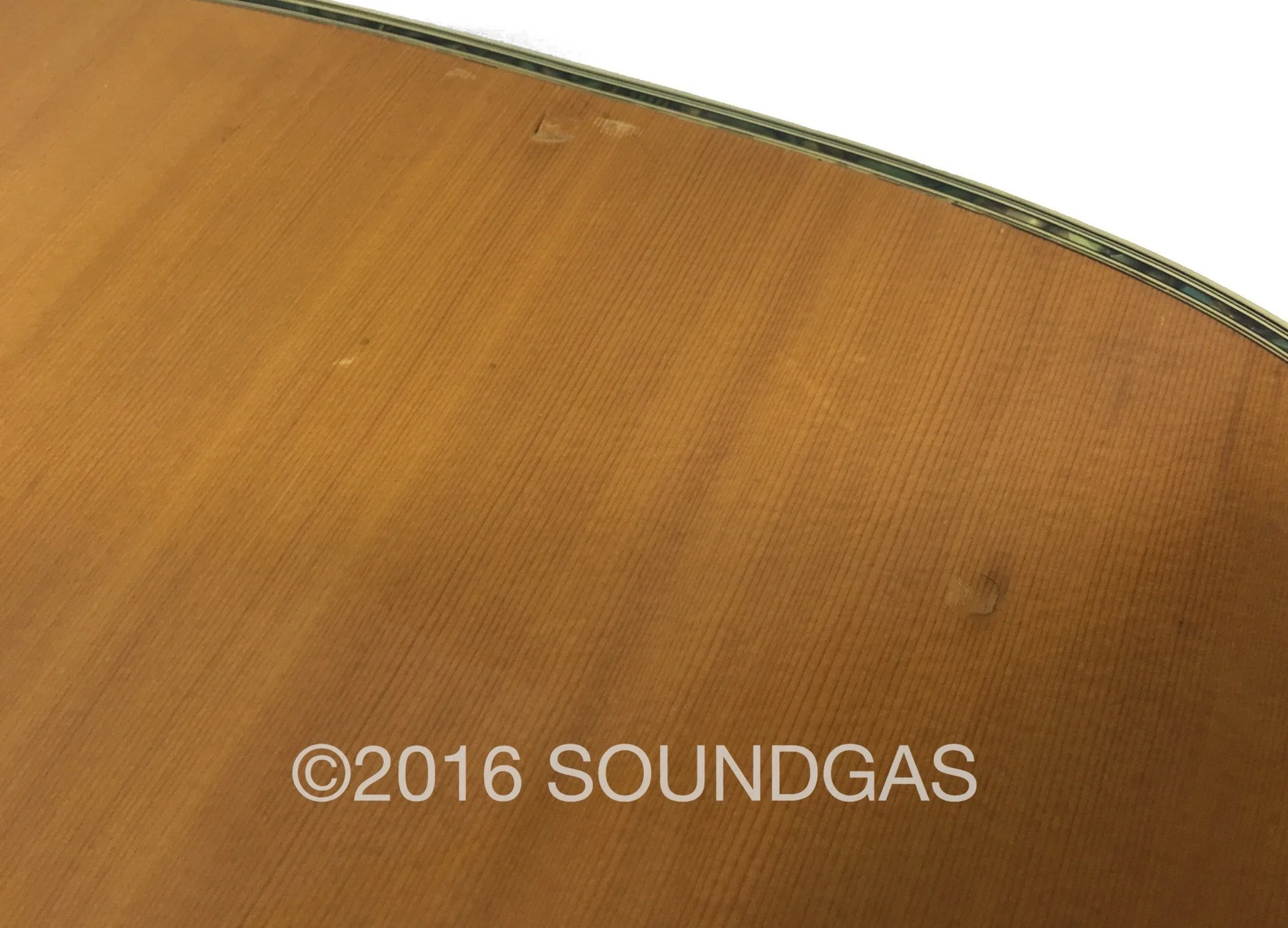 Morris W65M 'Tree Of Life' Acoustic Guitar - Image 12