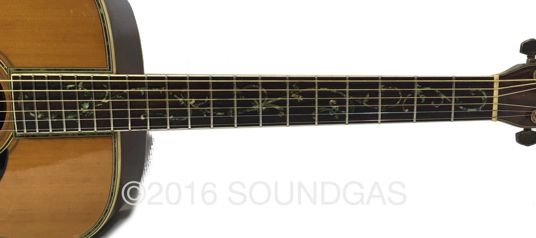 Morris W65M 'Tree Of Life' Acoustic Guitar - Image 4