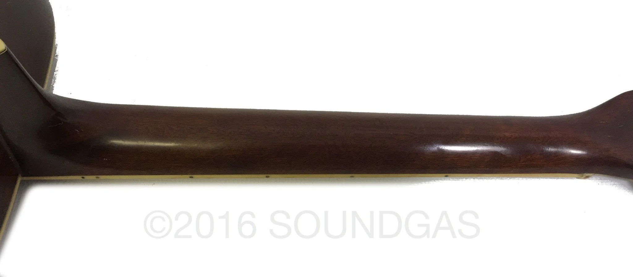Morris W65M 'Tree Of Life' Acoustic Guitar - Image 7
