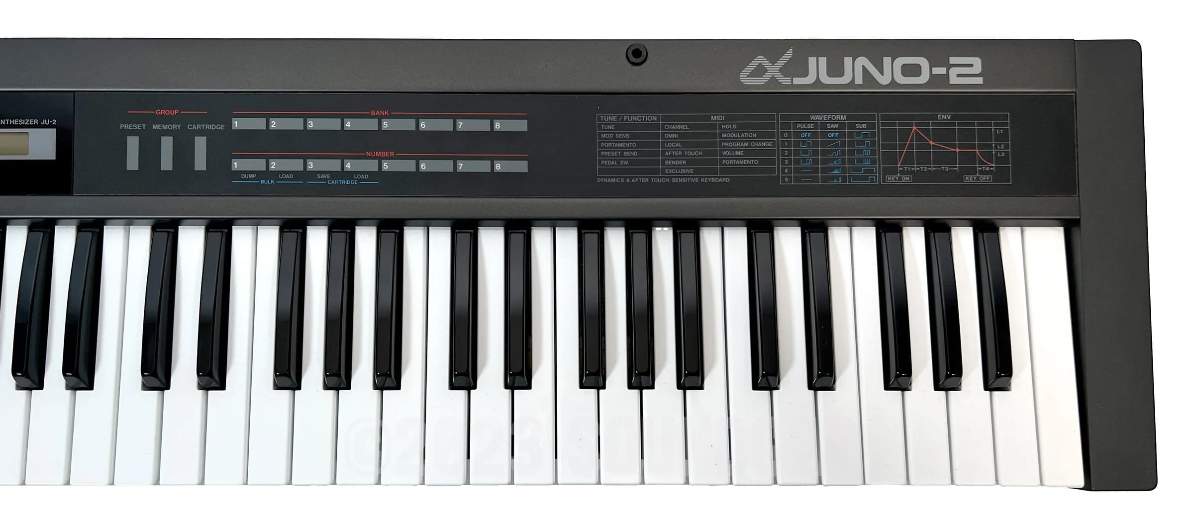 Roland Alpha Juno 2 & DTronics DT-300 - Image 5