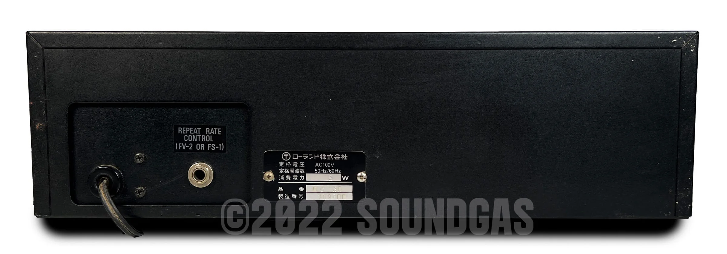 Roland DC-30 Chorus Echo (Boss DM-300) - Image 5