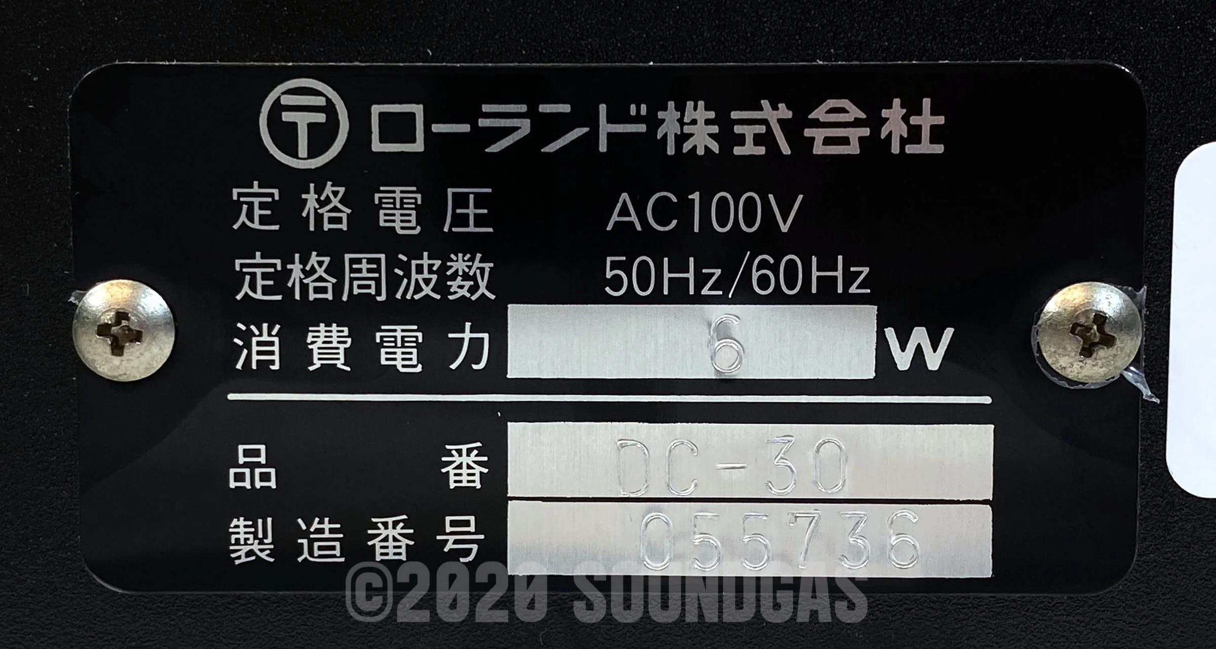 Roland DC-30 Chorus Echo (Boss DM-300) - Image 6