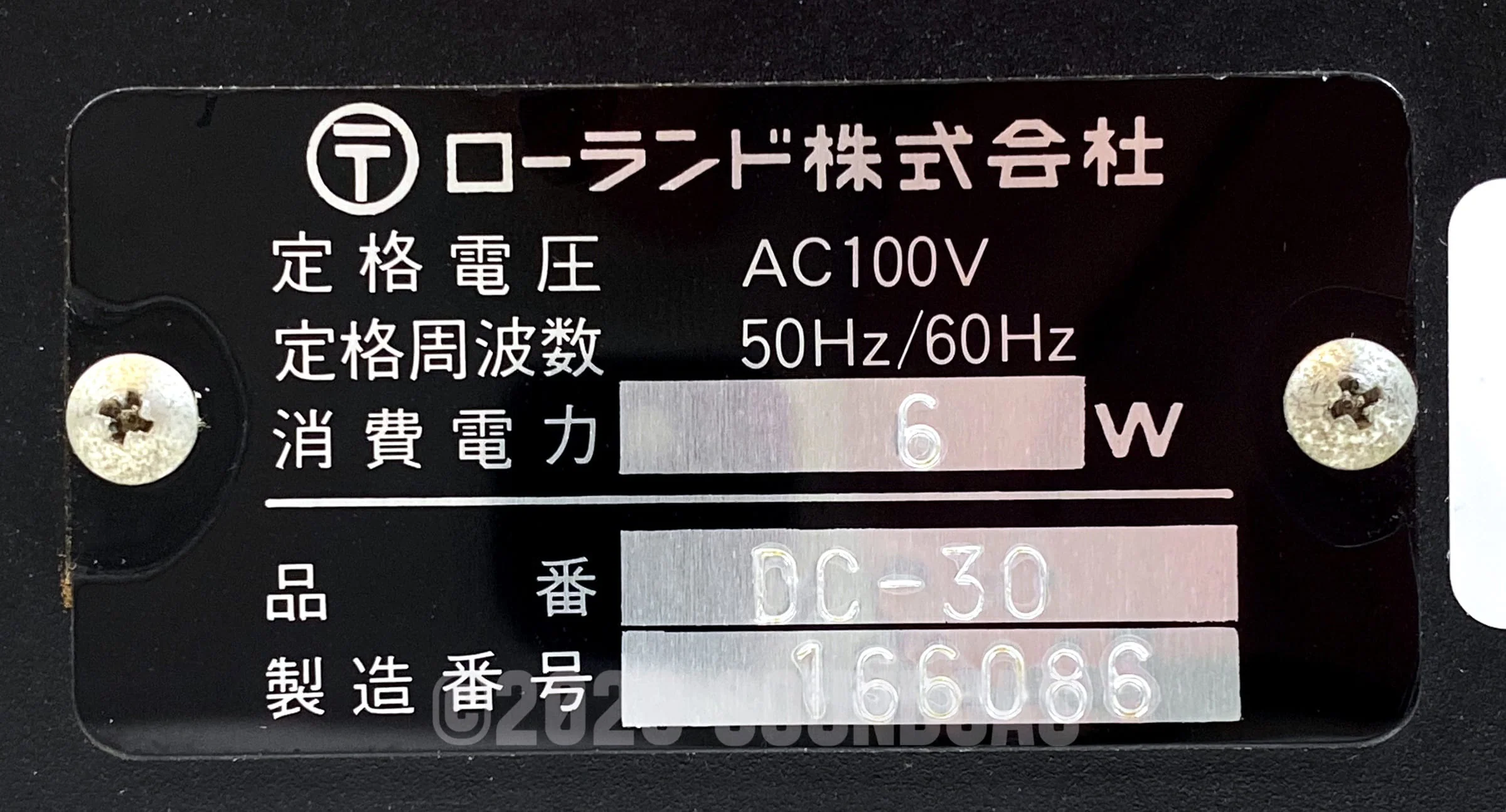 Roland DC-30 Chorus Echo (Boss DM-300) - Image 6