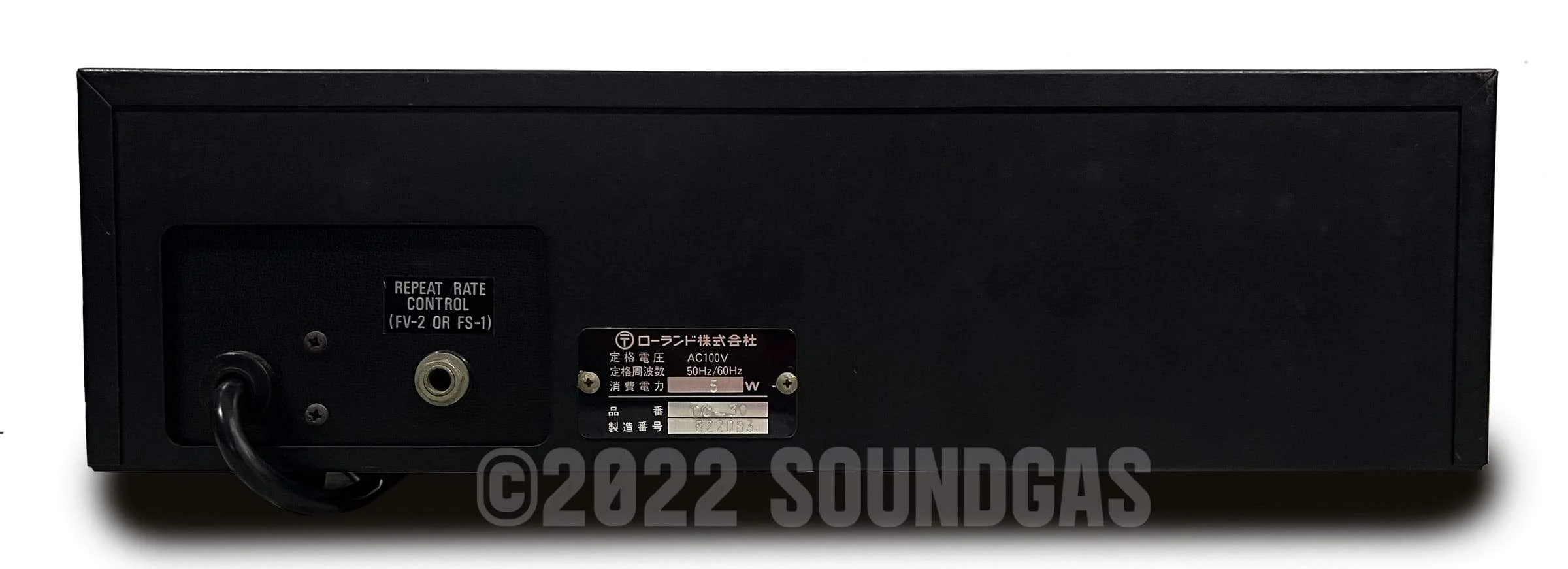 Roland DC-30 Chorus Echo (Boss DM-300) - Image 5