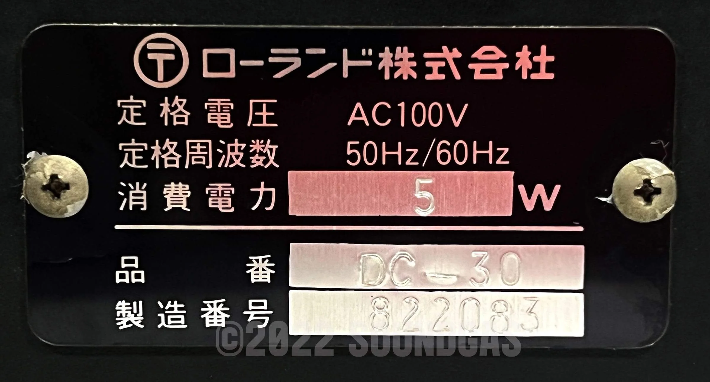 Roland DC-30 Chorus Echo (Boss DM-300) - Image 6