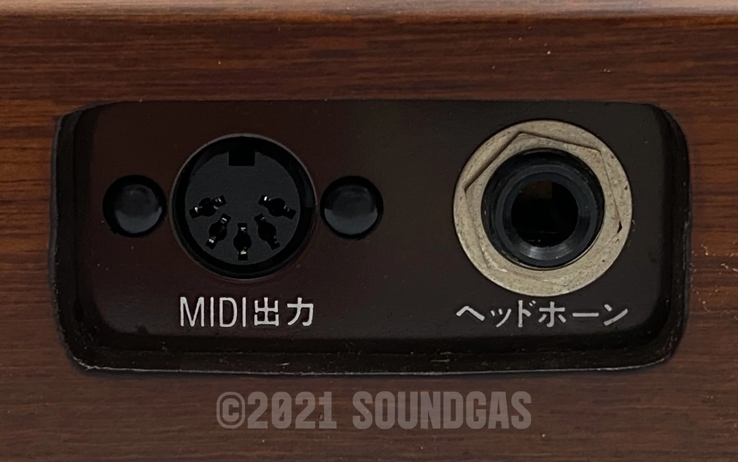 Suzuki TES-100 Taishogoto - Image 6