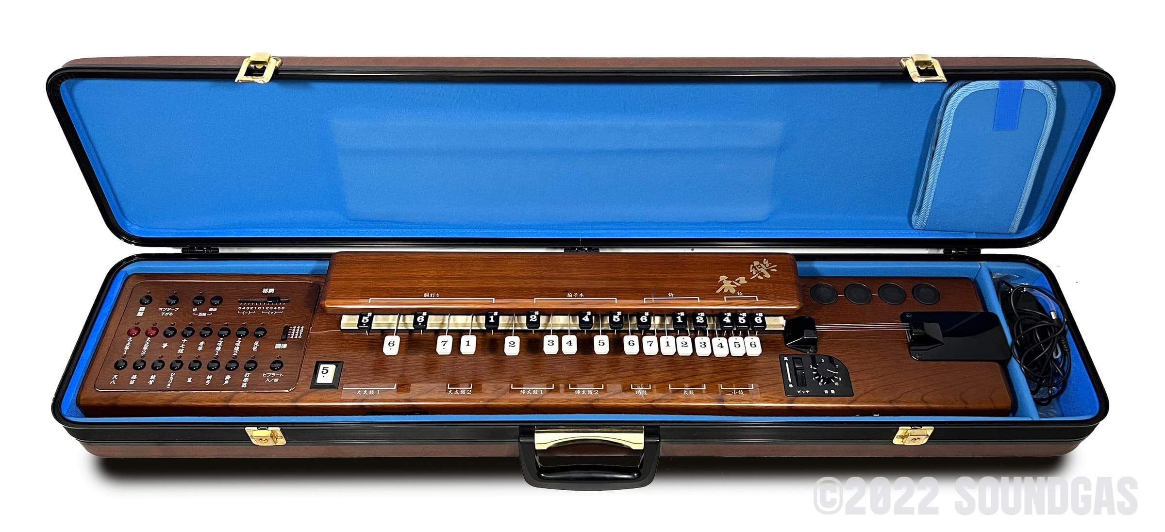 Suzuki TES-100 Waraku Koto Synth - Image 13
