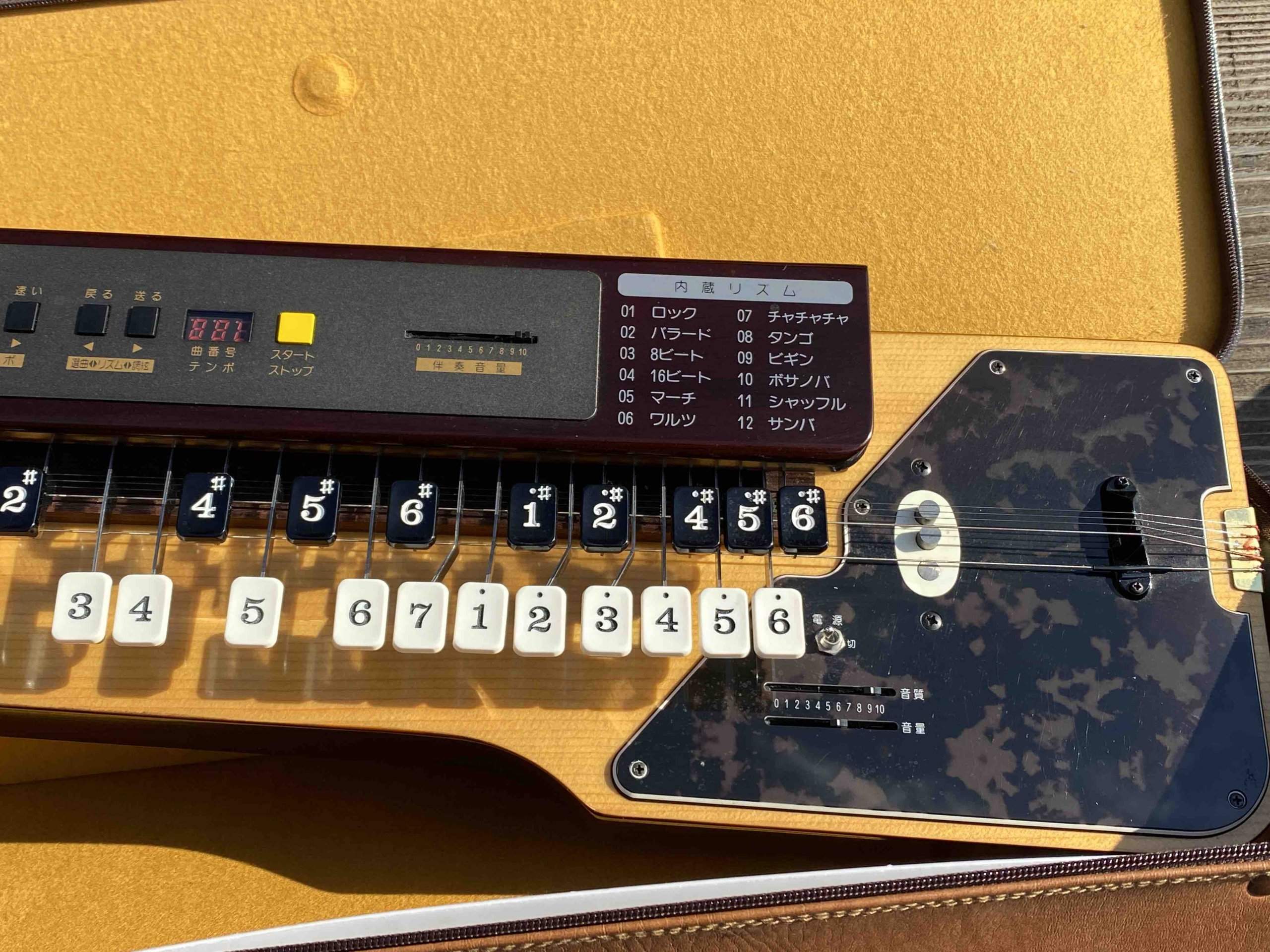 Suzuki TES-150 Electric Taishogoto & Rhythm Machine - Image 3