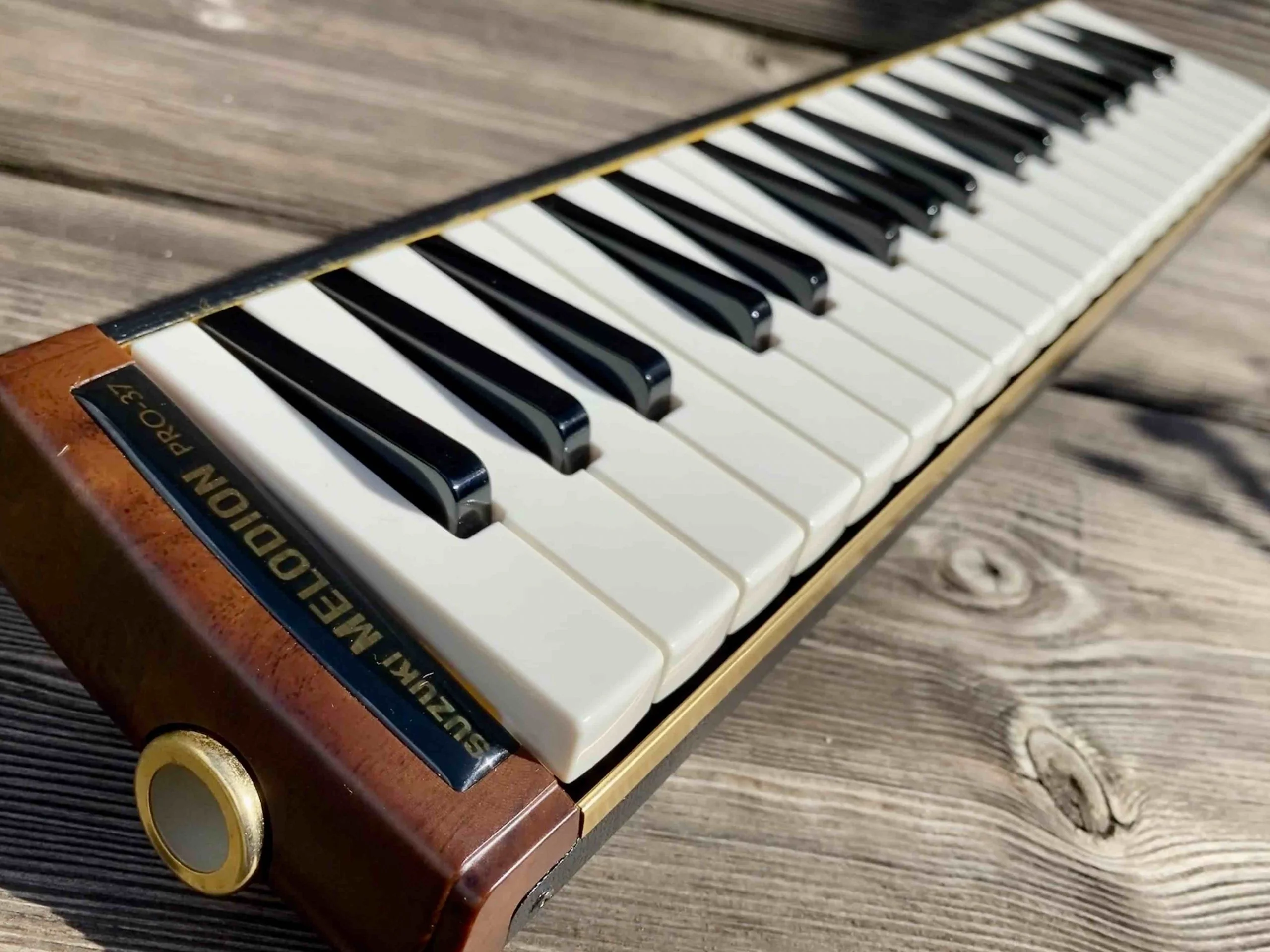 Toy Store: Suzuki Melodian Pro-37 - Image 7