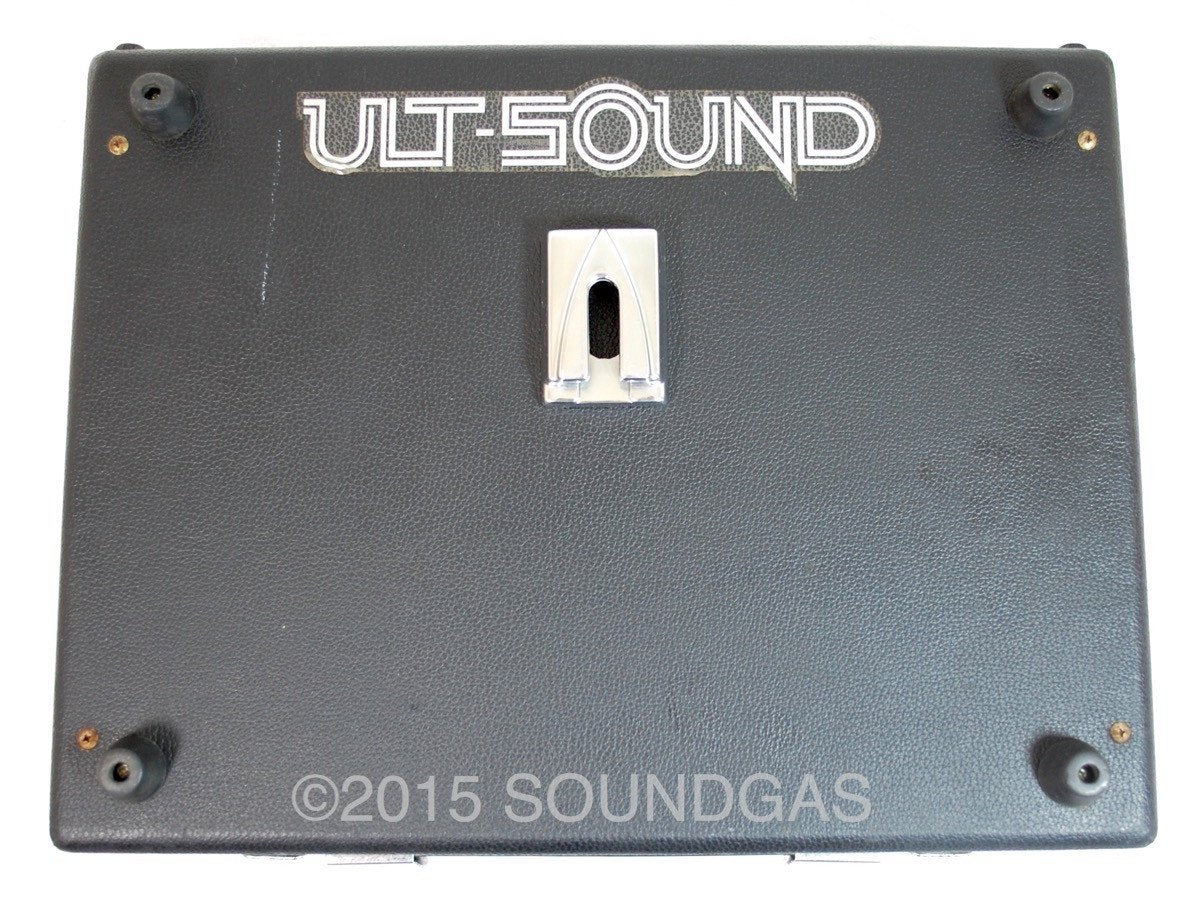 ULT SOUND DS-4 CUSTOM - Image 10